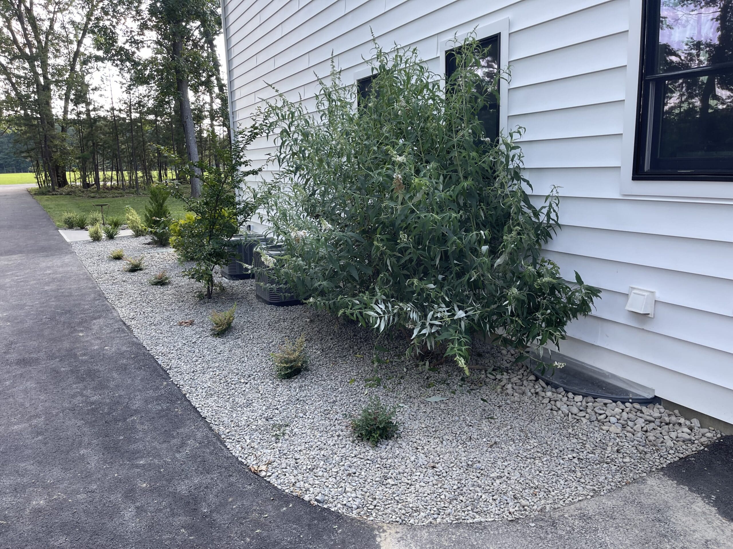 Martinez Crawl Space Encapsulation – after photo 2